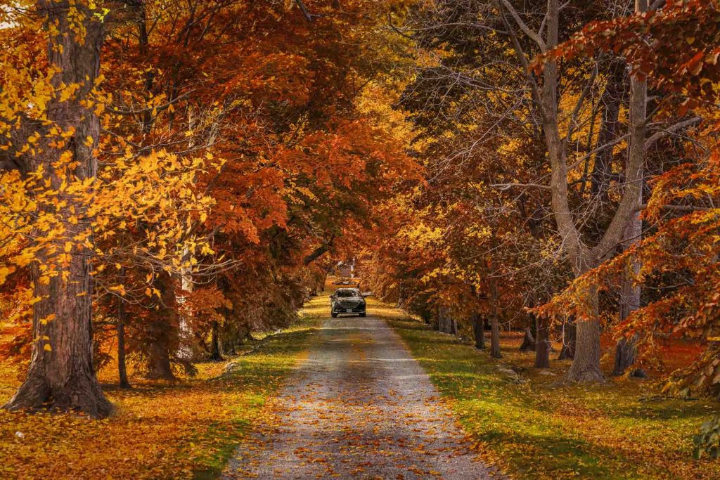 Best Day Trips from Toronto for 2025: Top 24 Escapes