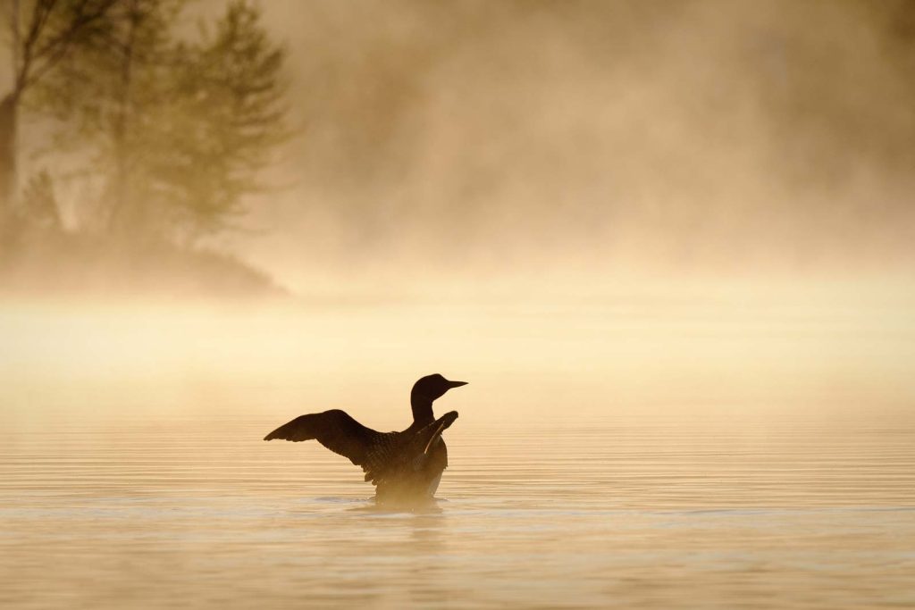 17 Best Things to Do in the Upper Peninsula, Michigan (2025 Guide)